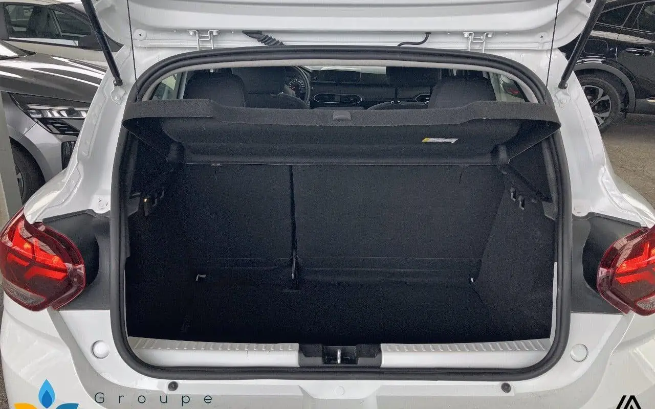 Dacia Sandero Eco-g 100 essential 1004 10