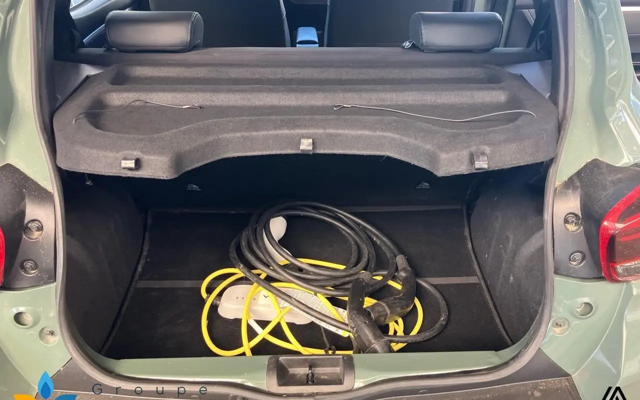 Dacia Spring Expression 1231 10