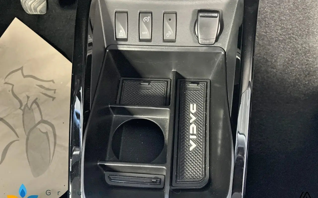 Dacia Spring Expression 1231 14