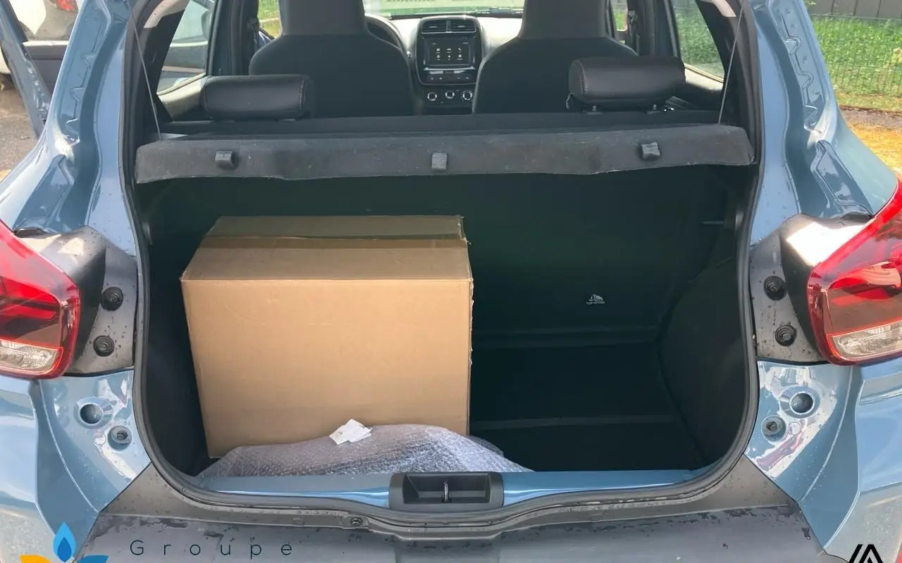 Dacia Spring Extreme 1239 10