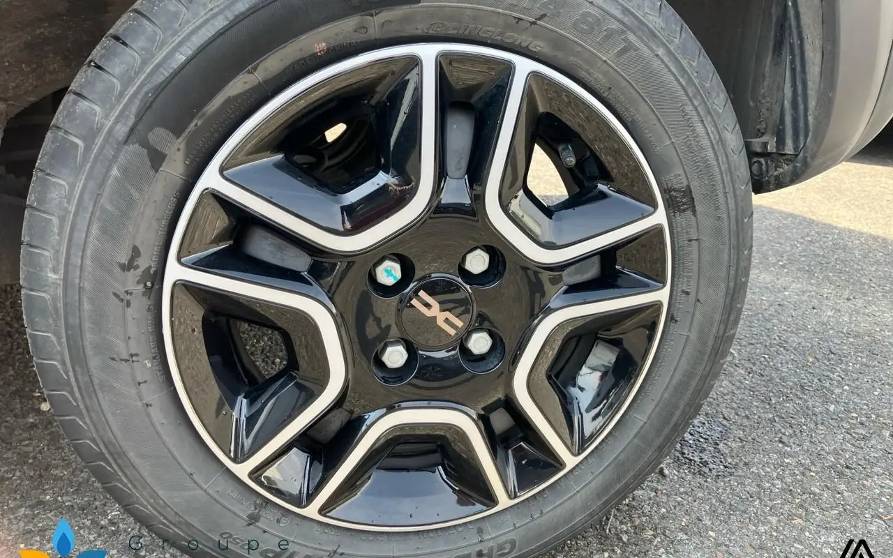 Dacia Spring Extreme 1239 11