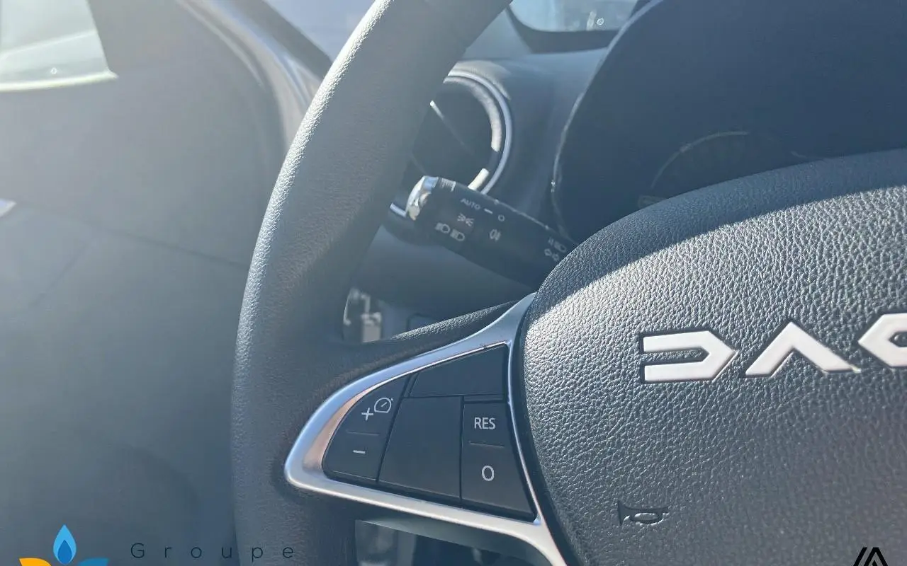 Dacia Spring Expression 1278 14