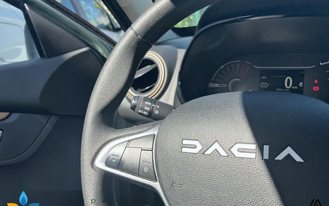 Dacia Spring Extreme 1279 14