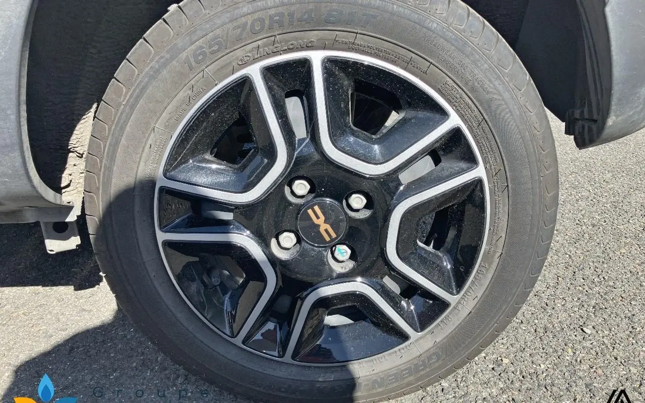 Dacia Spring Extreme 1280 11