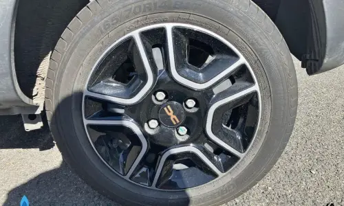 Dacia Spring Extreme 1280 11