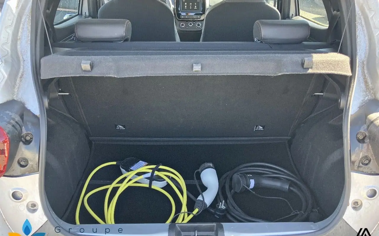Dacia Spring Extreme 1289 10