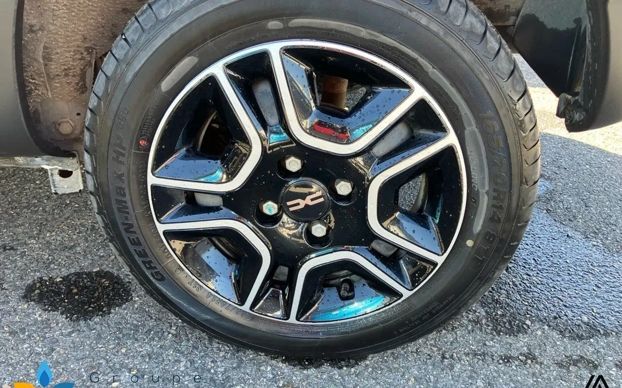 Dacia Spring Extreme 1289 11