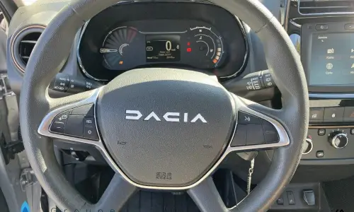 Dacia Spring Extreme 1289 14