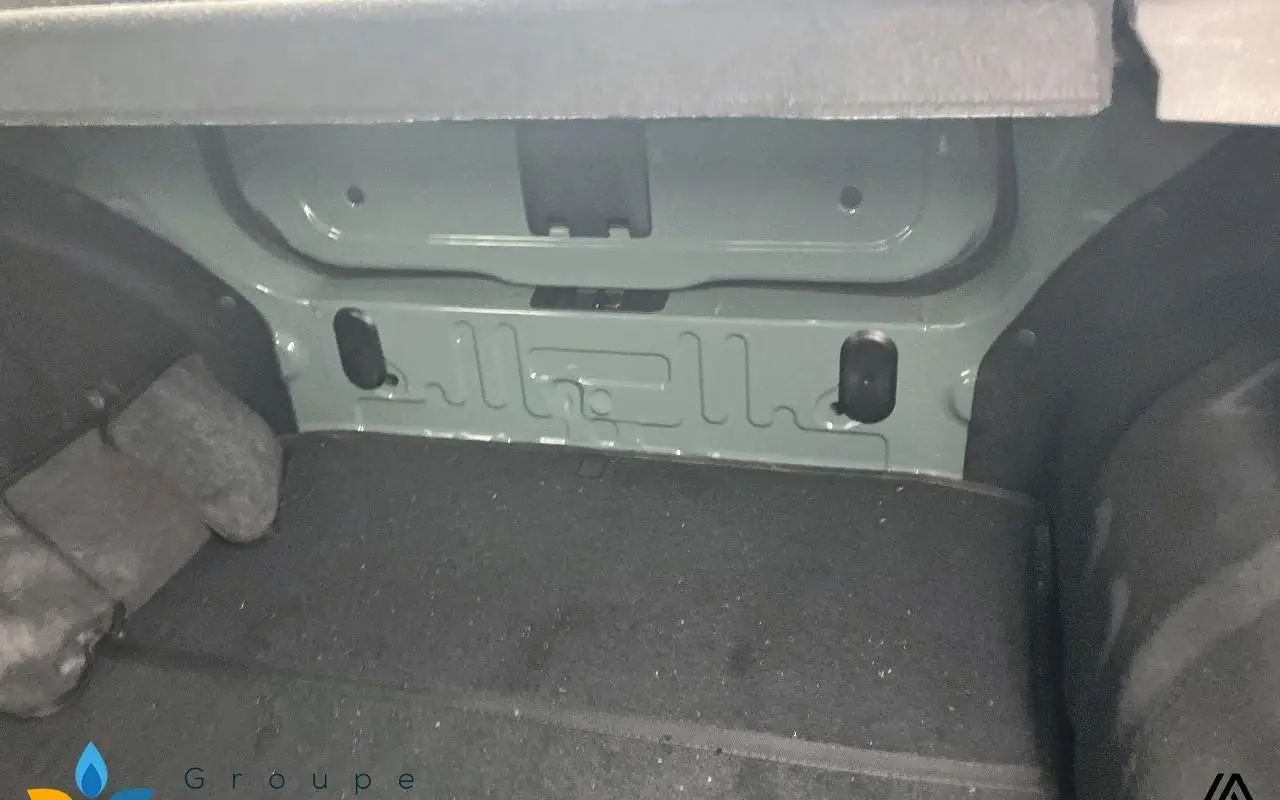 Dacia Spring Expression 1317 10