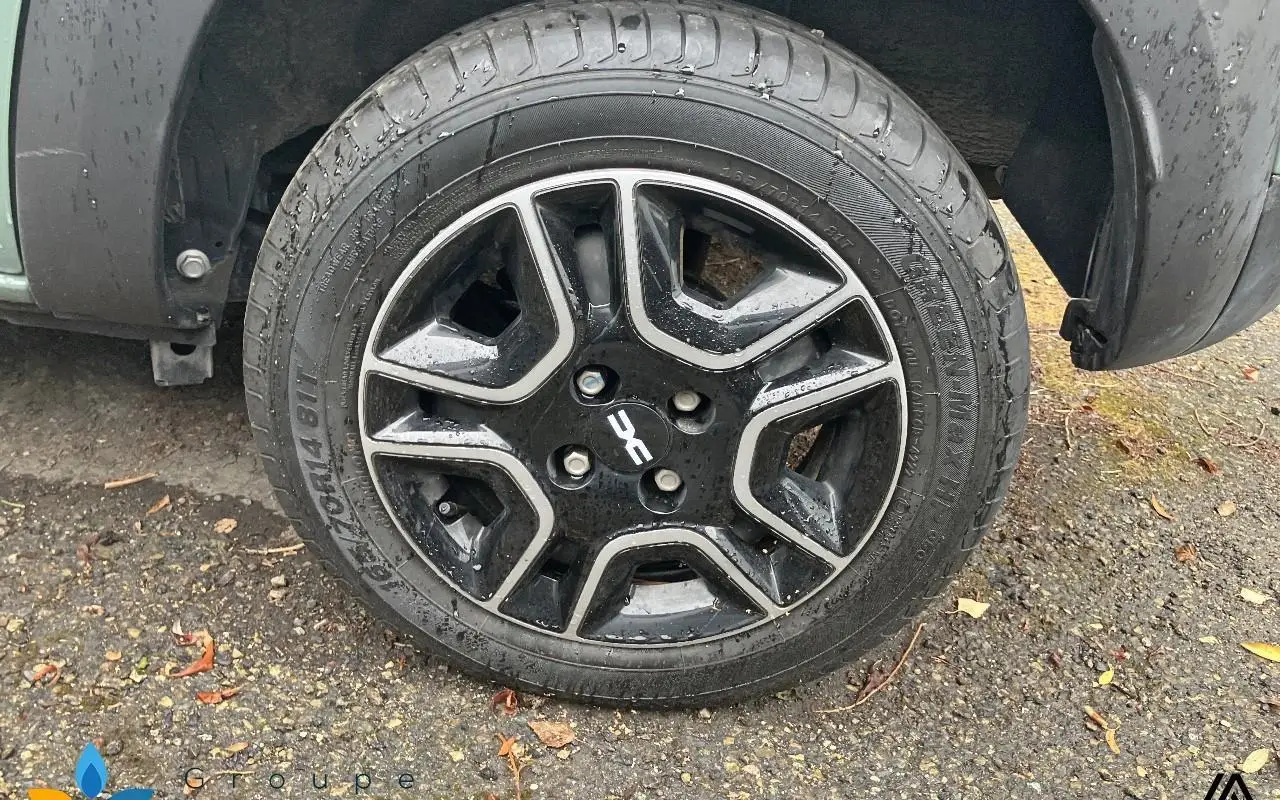Dacia Spring Expression 1317 11