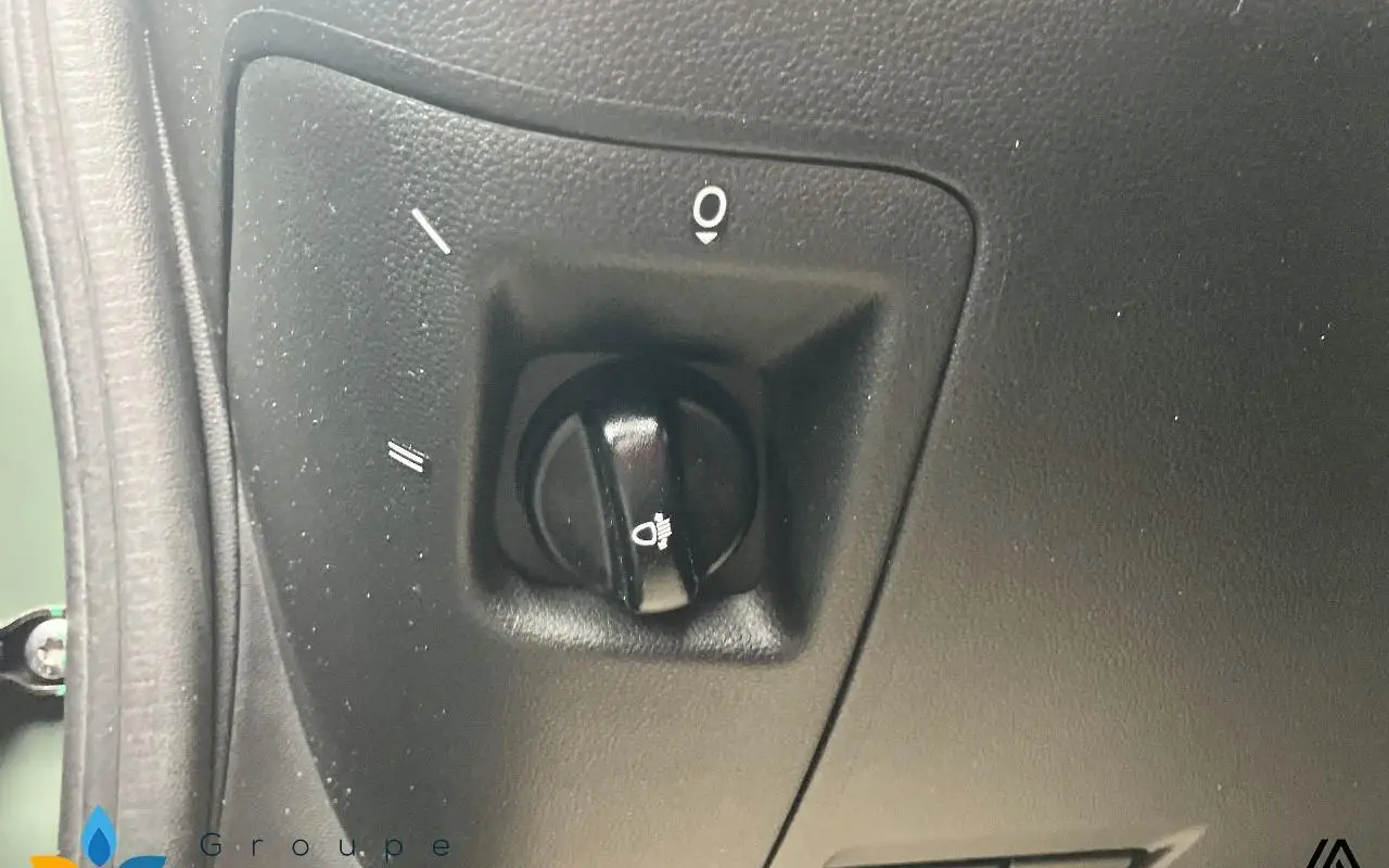 Dacia Spring Expression 1317 13