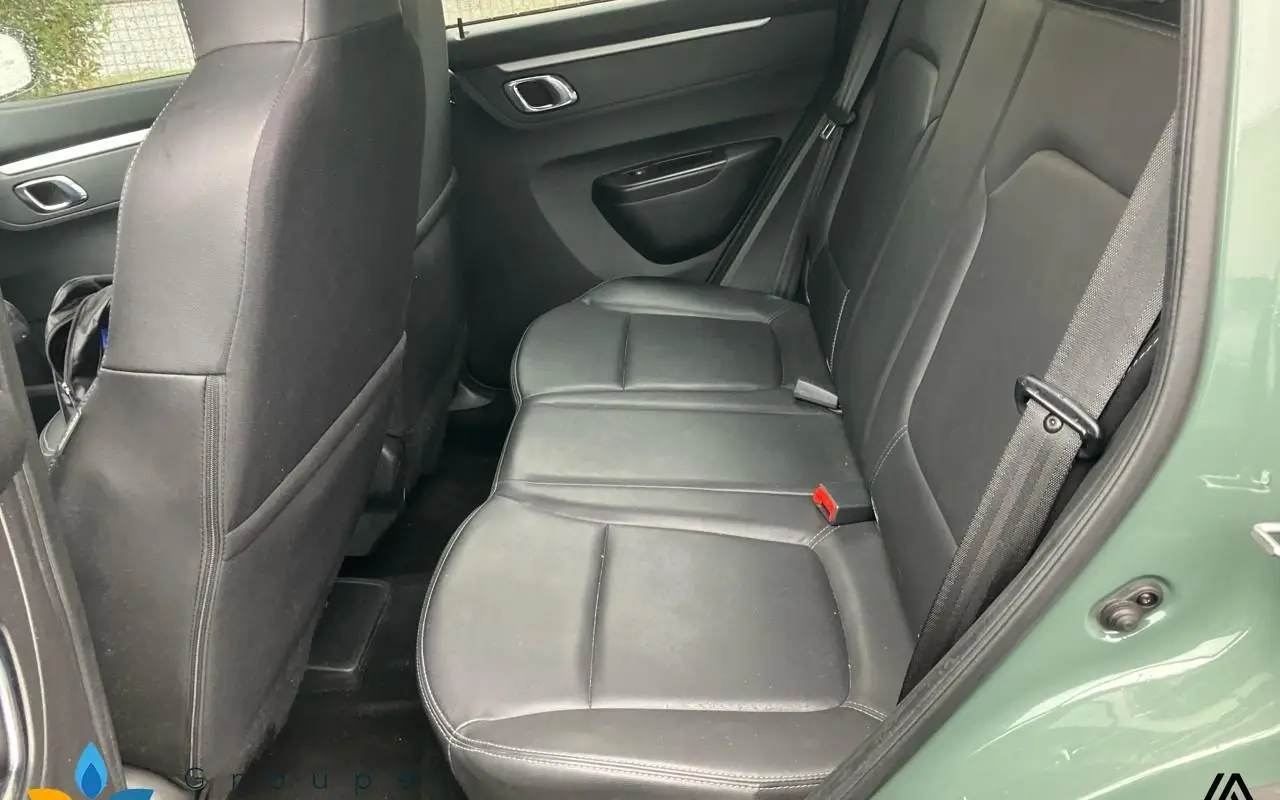 Dacia Spring Expression 1317 9