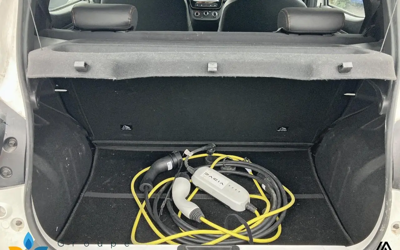 Dacia Spring Extreme 1325 10