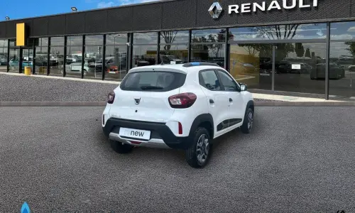 Dacia Spring Achat intégral business 2020 674 3