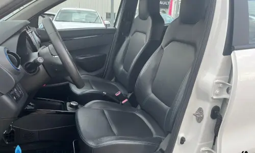 Dacia Spring Achat intégral business 2020 674 8