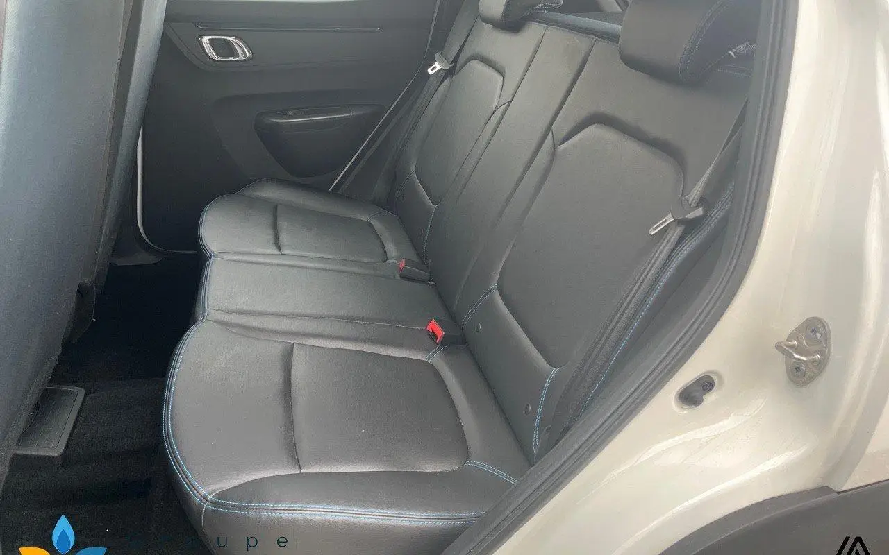 Dacia Spring Achat intégral business 2020 674 9