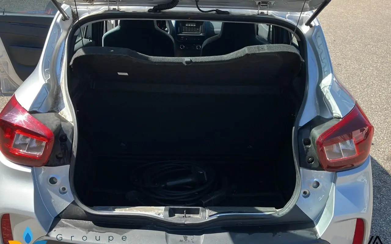 Dacia Spring Achat intégral business 2020 762 10
