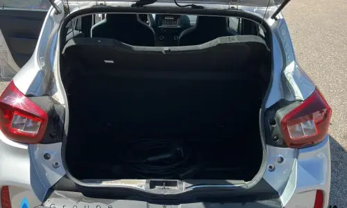 Dacia Spring Achat intégral business 2020 762 10
