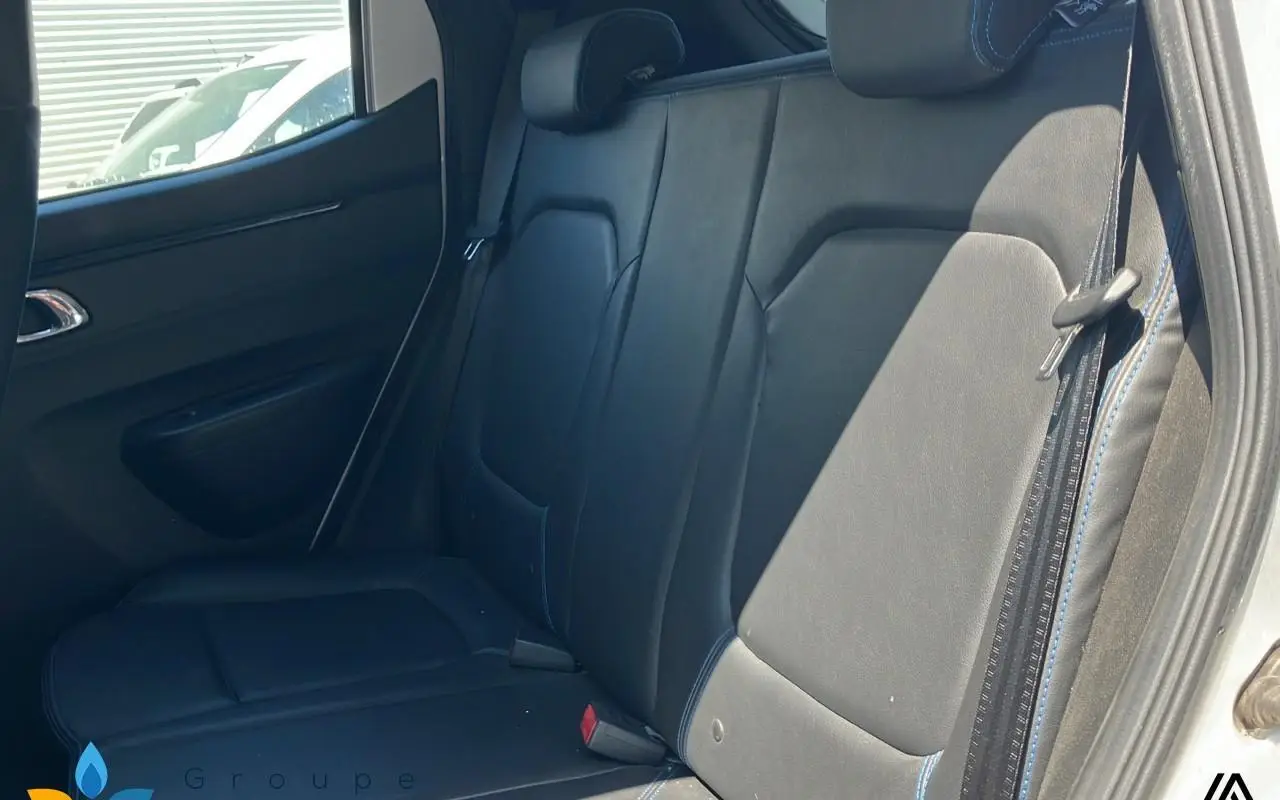 Dacia Spring Achat intégral business 2020 763 9